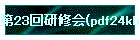 23񌤏C(pdf24kb)