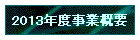 2013NxƊTv
